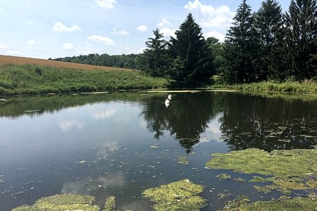 Multi-Municipal Comprehensive Plan